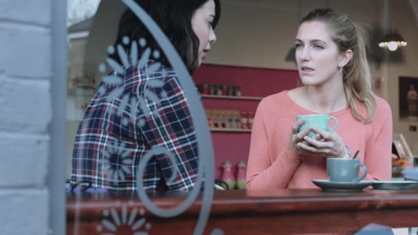 Mujeres amigas hablando en la cafetería — Vídeos de Stock