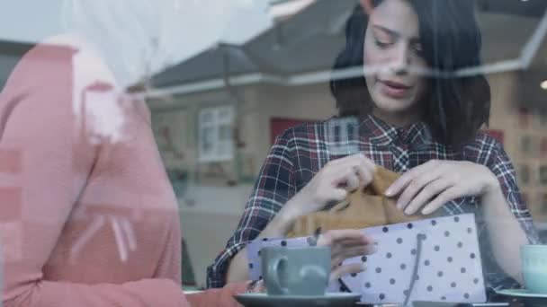 Amis féminins regardant les vêtements achetés — Video