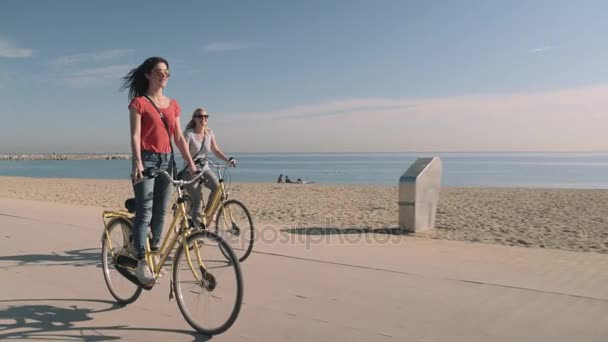Touristes à vélo sur la plage — Video