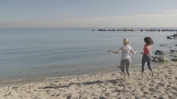 Vrouwen lopen aan strand — Stockvideo