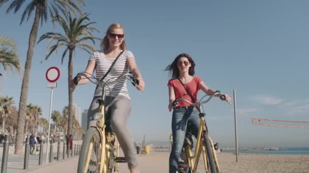 Toeristen fietsen op strand — Stockvideo