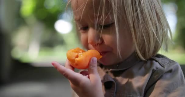 Criança Comendo Pêssego Parque — Vídeo de Stock
