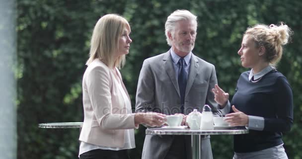 Colegas Hablando Una Recepción Café Aire Libre — Vídeo de stock