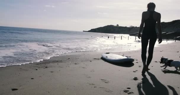 女性步行与狗对桨板在海滩 — 图库视频影像