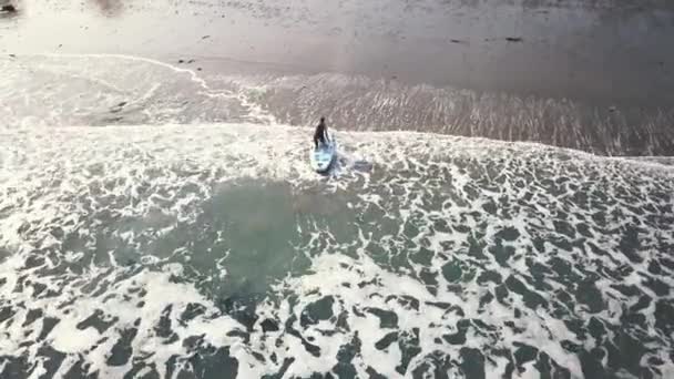 Kvinnliga Praktiken Paddel Ombordstigning Havet Utsikten Från Drone — Stockvideo