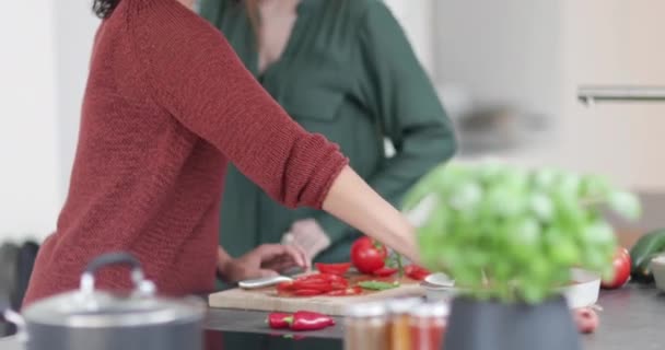 Amigos Socializando Una Cocina Mientras Cocinan — Vídeo de stock