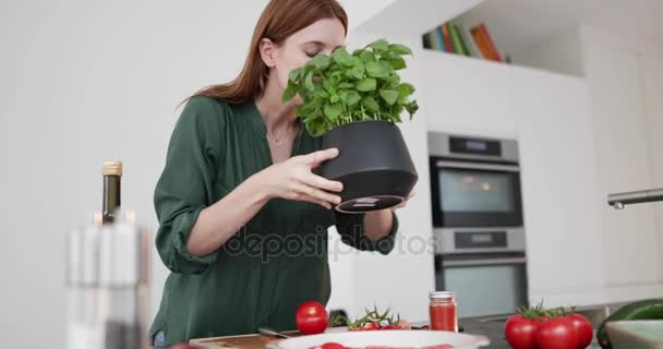 Adult Female Picking Fresh Basil — Stock Video