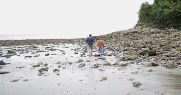 父子在海滩上探索岩石水池 — 图库视频影像