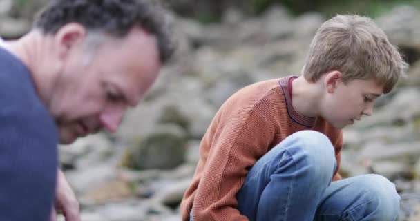 Padre Figlio Guardando Conchiglie Piscina Rocciosa Sulla Spiaggia — Video Stock