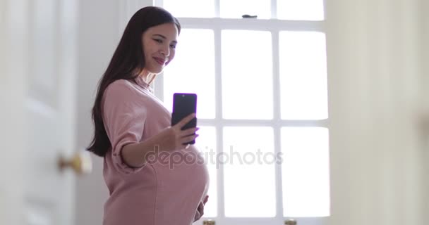 Mujer Embarazada Tomando Selfie Con Smartphone — Vídeo de stock