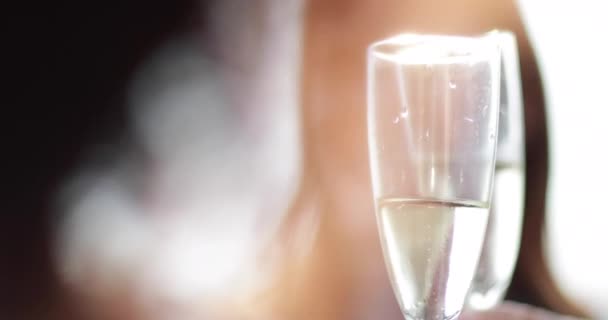 Vriendinnen Genieten Van Een Glas Champagne Buiten Zon — Stockvideo