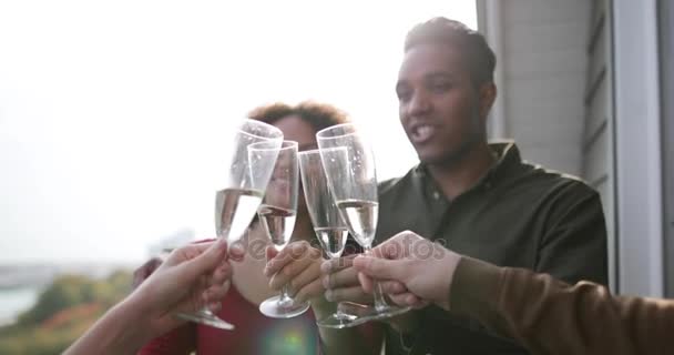 Female Friends Enjoying Glass Champagne Outdoors Sunshine — Stock Video