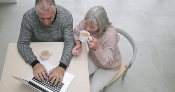 Coppia anziana utilizzando un computer portatile — Video Stock