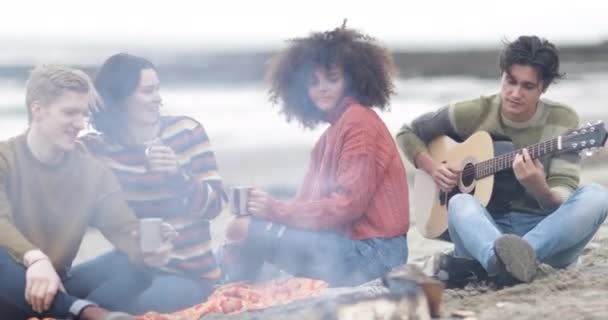 Group of young adult sitting around campfire — Stock Video