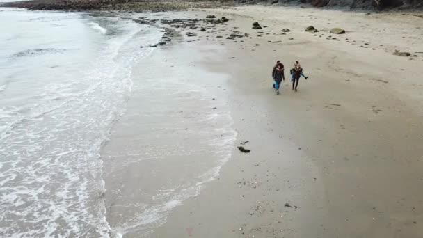 手をつないでビーチに沿って実行している友人の空中ショット — ストック動画