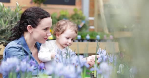 Mother at garden centre — Stock Video