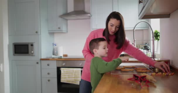 Mutter Und Sohn Dekorieren Lebkuchen — Stockvideo