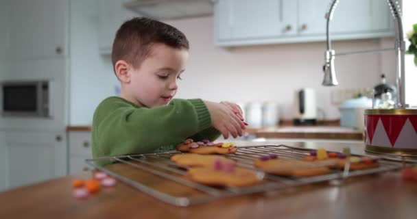 Boy Decorating Gingerbread Men — Stock Video