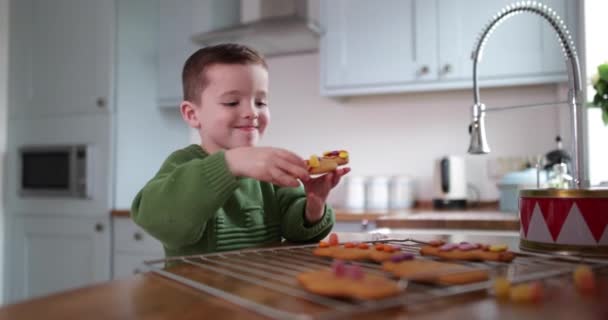 Rapaz Comer Pão Gengibre — Vídeo de Stock