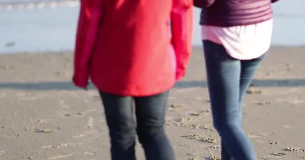 Maduras Amigas Caminando Playa — Vídeos de Stock