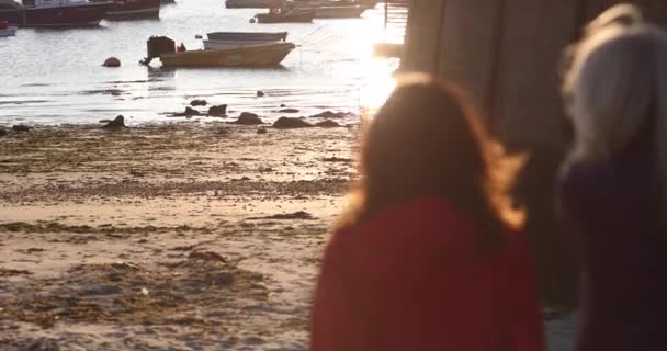 Mature Female Friends Walking Harbour — Stock Video