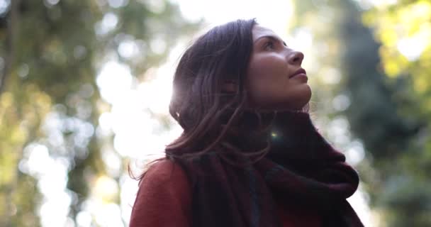 Orman Içinde Kadın Bakış Sonbaharda Kapatın — Stok video