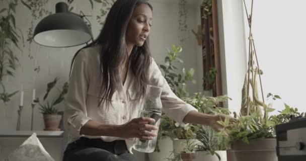 Junge erwachsene Frau gießt Pflanzen zu Hause — Stockvideo