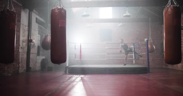 Erwachsener Boxer steigt in den Ring — Stockvideo