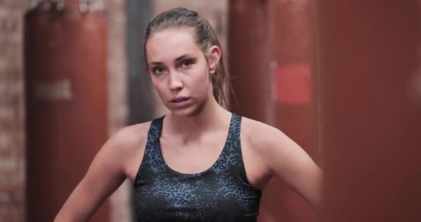 Retrato de mulher adulta jovem forte no ginásio de boxe — Vídeo de Stock