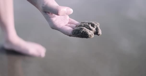 Κοντινό πλάνο της γυναίκας χέρι εκμετάλλευση σκουλήκι θάλασσα στην παραλία — Αρχείο Βίντεο