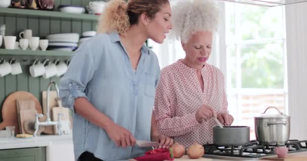 Mulher idosa adulta cozinhando uma refeição com filha — Vídeo de Stock