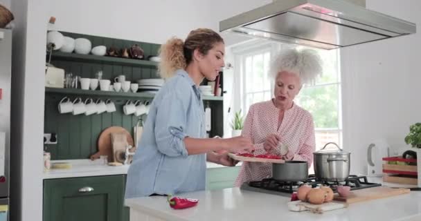 Ältere erwachsene Frau kocht mit Tochter ein Essen — Stockvideo