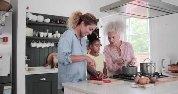 Three generations of family cooking a meal together — kuvapankkivideo