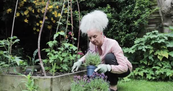 Senioren tuinieren buiten in het voorjaar — Stockvideo