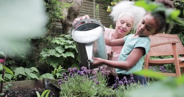 Grootmoeder helpt kleinkind water de tuin — Stockvideo