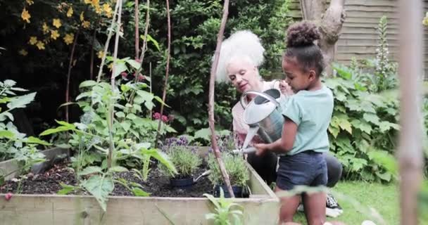 Бабушка помогает внуку поливать сад — стоковое видео