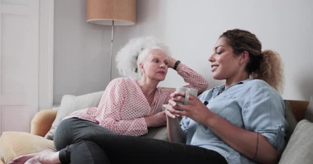 Senior mujer adulta que toma café con hija — Vídeos de Stock