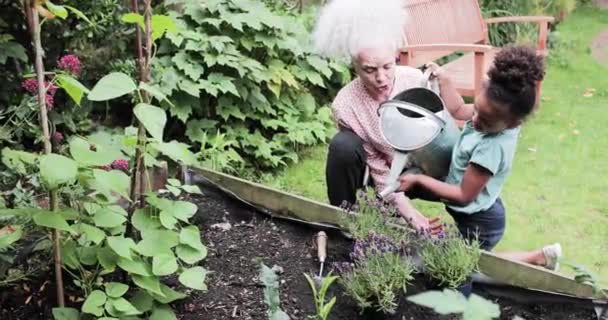 Mormor hjälper barnbarn vattna trädgården — Stockvideo