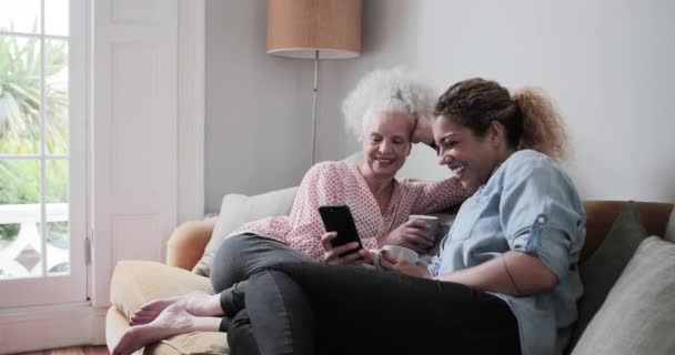 Senior vuxen kvinna tittar på smartphone med dotter — Stockvideo