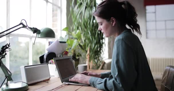 Erwachsene Frauen arbeiten von zu Hause aus — Stockvideo