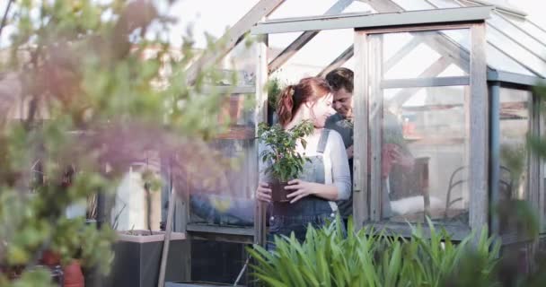 Joven pareja adulta juntos en la jardinería — Vídeo de stock