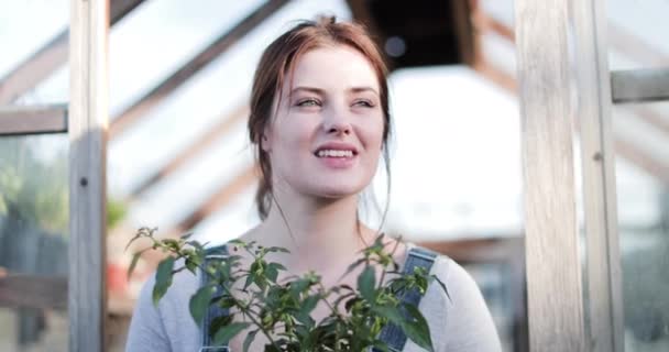 Junge erwachsene Weibchen halten Pflanze an Gewächshaus — Stockvideo
