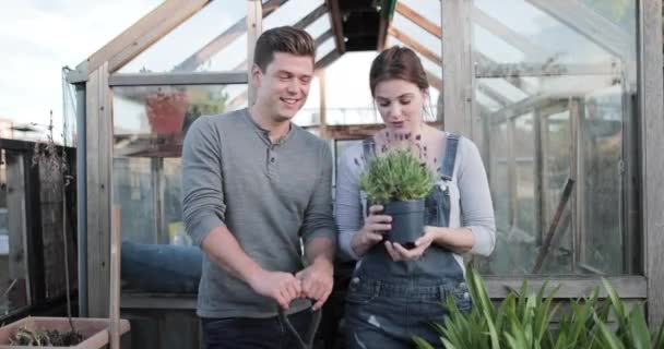 Jovem adulto casal jardinagem juntos — Vídeo de Stock