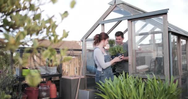 Joven pareja adulta juntos en la jardinería — Vídeos de Stock