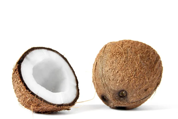 Coco Sobre Fundo Branco Cocos Nucifera — Fotografia de Stock