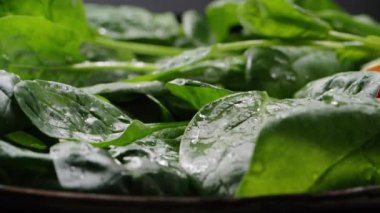 Taze salataya dökülen vişneli domates, zıplıyor. Yeşil yapraklar, ıspanak. Vejetaryen yemekleri, organik yiyecekler. Lezzetli salata. Ağır çekim. Tam HD 240 fps