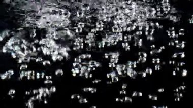 Sebzeler siyah arka planda suda kaynıyor. Kereviz, havuç, soğan. 4K