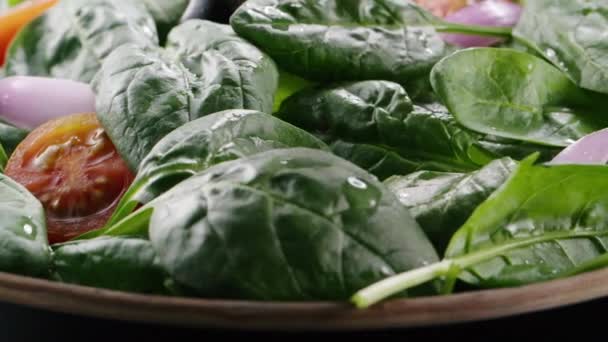 Kirschtomaten Und Mozzarella Fallen Frischen Salat Und Prallen Grüne Blätter — Stockvideo