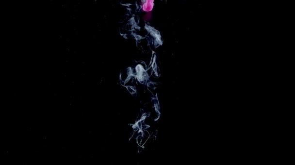 Pink Green Ink Paint Drops Water Mixing Slow Motion Black — Stock Video