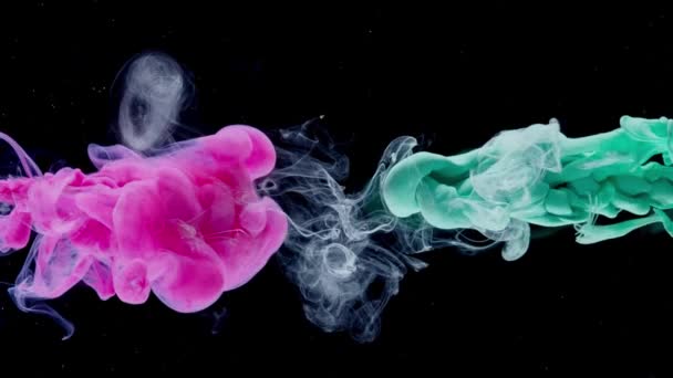 Pink Green Ink Paint Drops Water Mixing Slow Motion Black — Stock Video